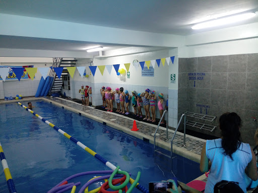 Academia Natación Es Vida