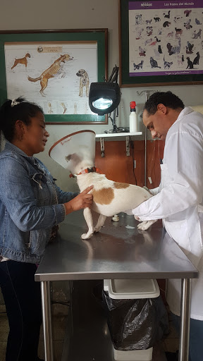 Veterinaria San Bernardo