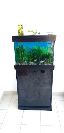 Acuario Chorrillos (confección peceras tapas y muebles)