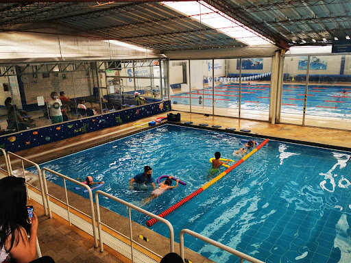 Natación Monterrico